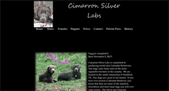Desktop Screenshot of cimarronsilverlabs.com